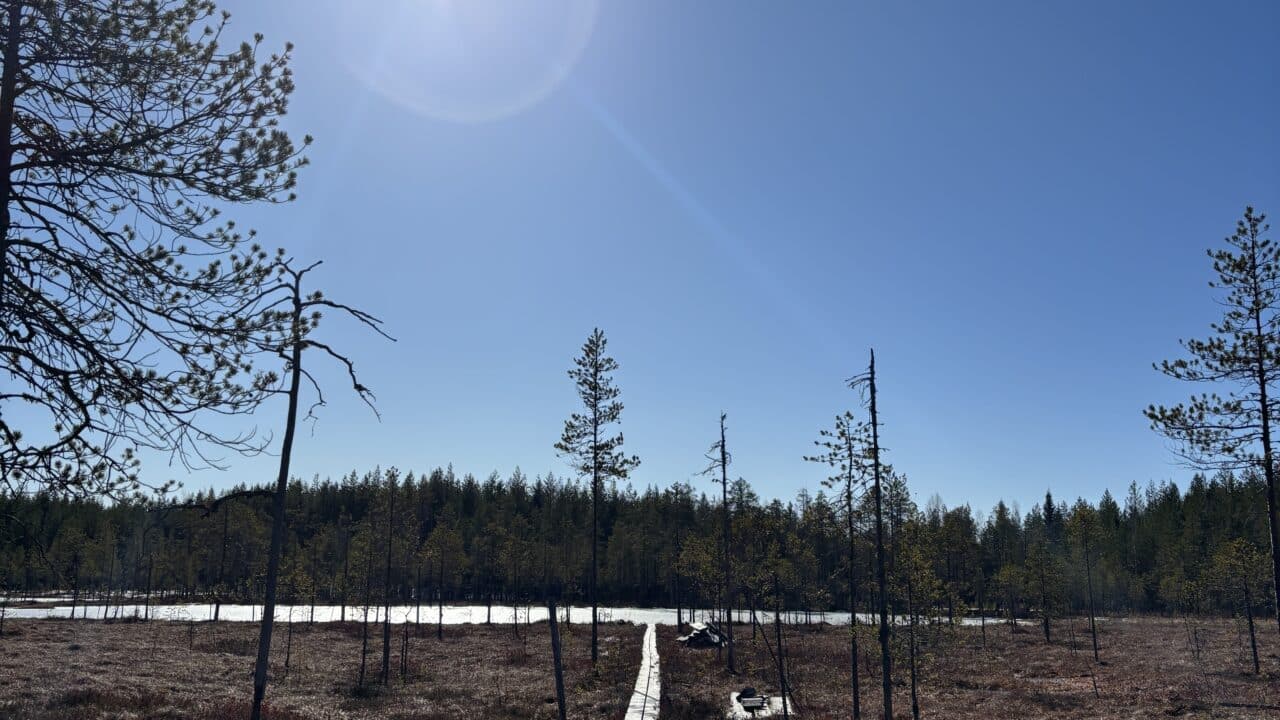 Kakslampisen laavun edustalta. Kuva: Inka Makkonen.