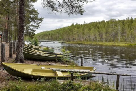 Syväjärvi