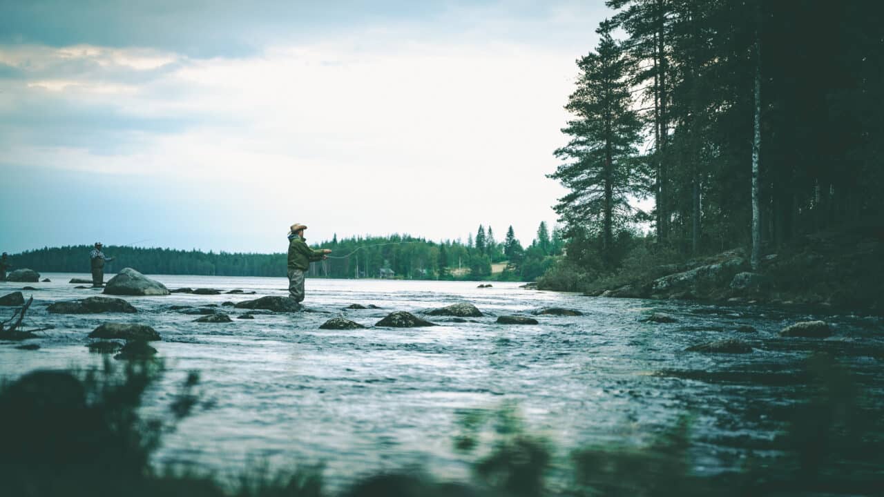 Arktiset Vedet kalastamassa Kuhmon koskella