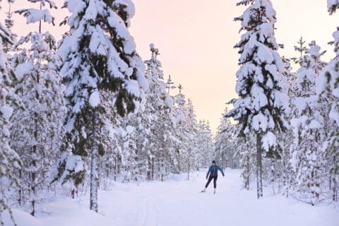 Joulunpyhien vapaa-aikapalveluita