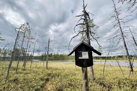 Kieverrysjärvet