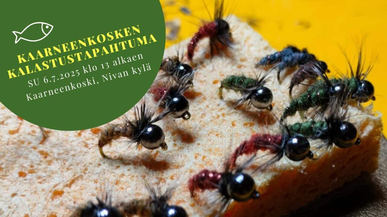 Kaarneenkosken kalastustapahtuma on kaikille avoin