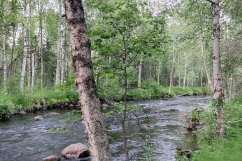 Metsähallituksen vesialueet Kuhmossa
