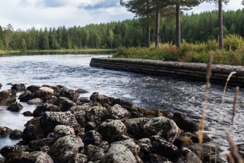 Vuonteenkoski