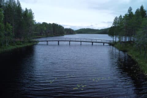 Syväjärven kirjolohikalastus