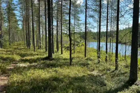 Korpitaival
