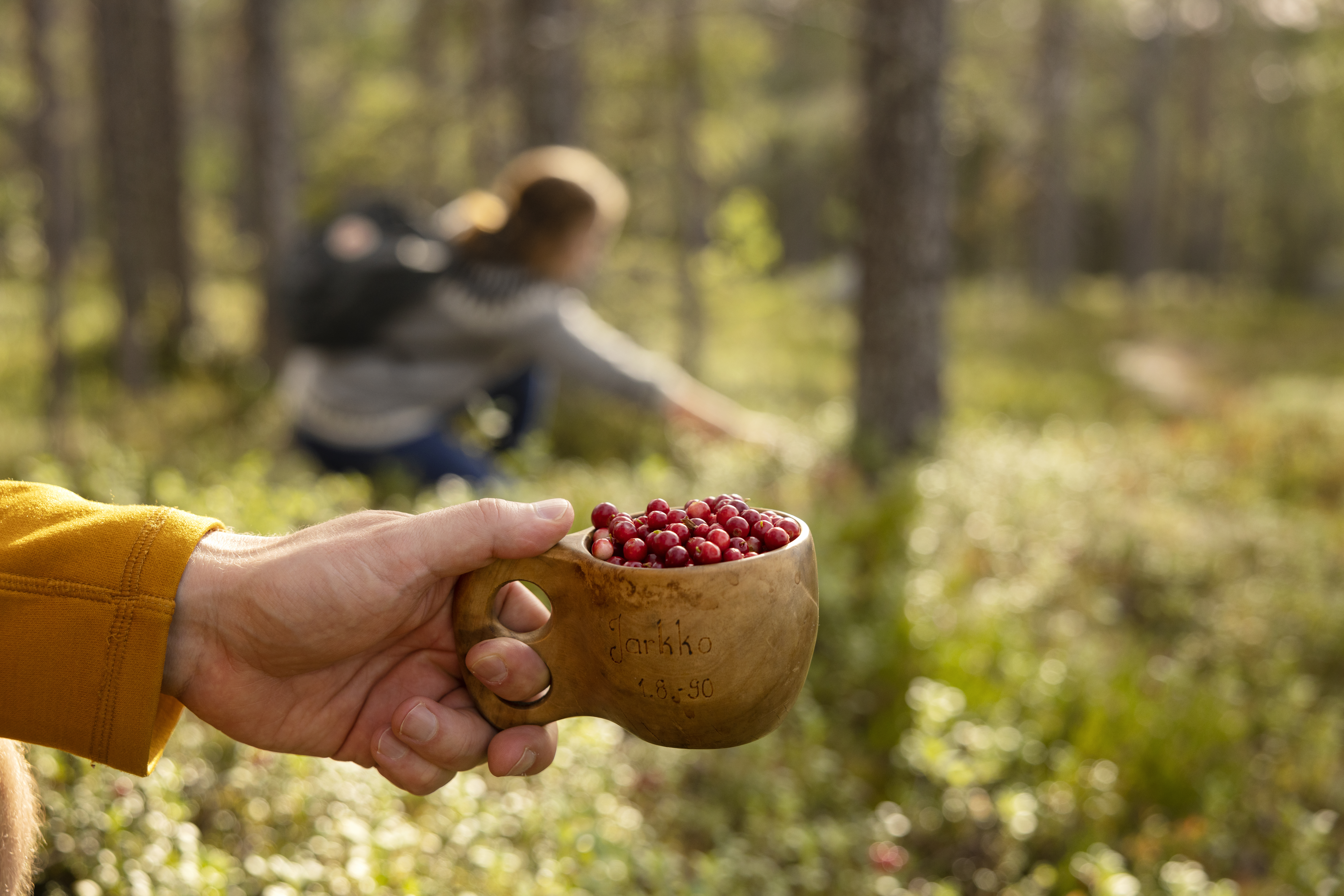 Berry and Mushroom Picking