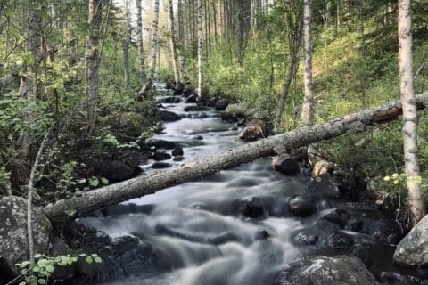 Outdoor tips for nature destinations in Kuhmo