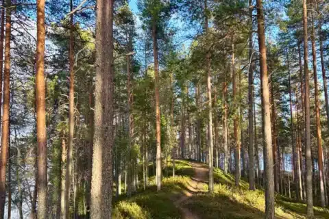 Koirisärkän reitti